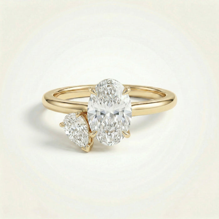 The CAD render of the same ring